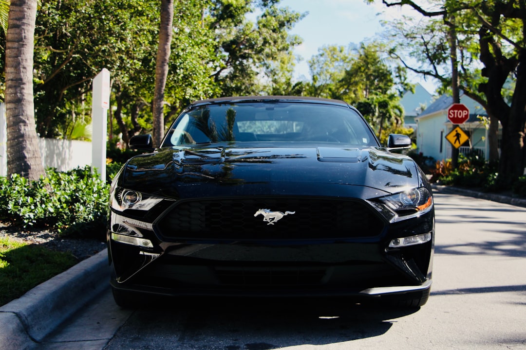 Bluebonnet Ford: Your Ultimate Destination for Quality Vehicles